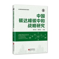 中国碳达峰碳中和战略研究
