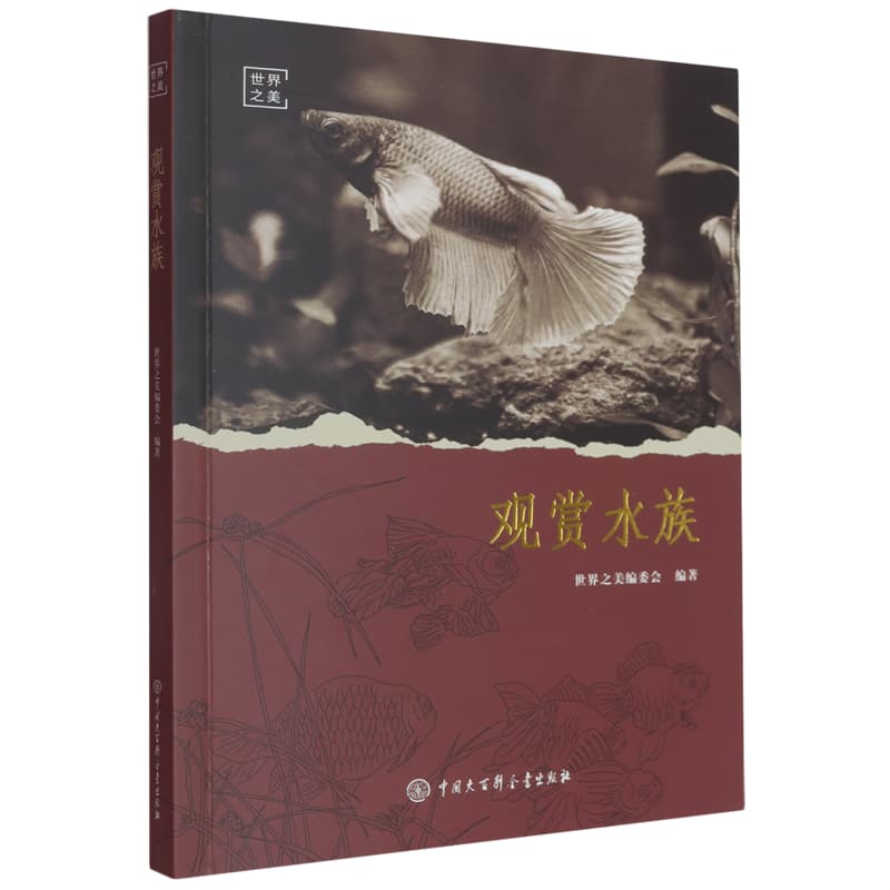 观赏水族