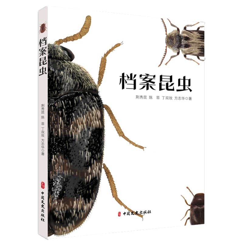 档案昆虫
