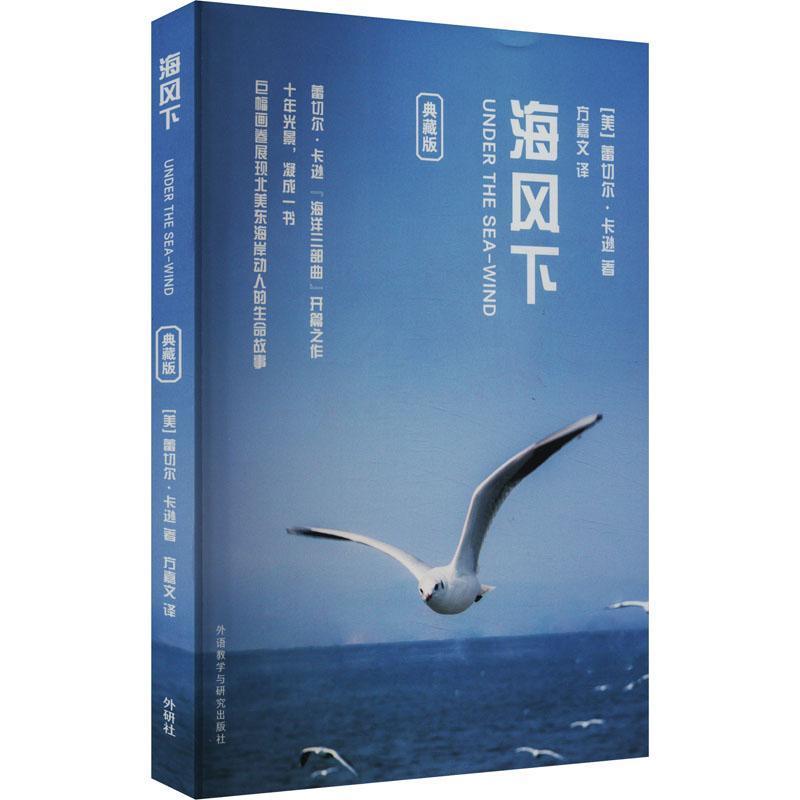 海风下——典藏版