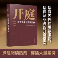 开庭——法官思维与庭审实务