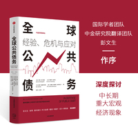 全球公共债务——经验、危机与应用