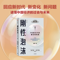 刚性泡沫——中国经济的增长和风险
