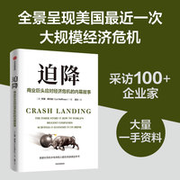 迫降：商业巨头应对经济危机的内幕故事