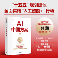 AI中国方案