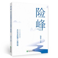 险峰——从支公司副经理到总公司总经理的心路历程