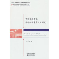 中国保险专业中介机构集聚效应研究