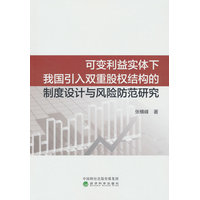 可变利益实体下我国引入双重股权结构的制度设计与风险防范研究