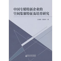 中国专精特新企业的空间集聚特征及培育研究