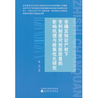 非确定知识产权下专利制度对创新质量的影响机理与政策优化研究