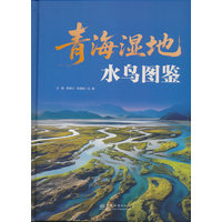 青海湿地水鸟图鉴