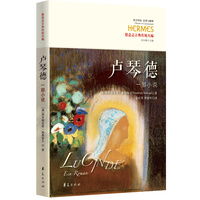 卢琴德：一部小说