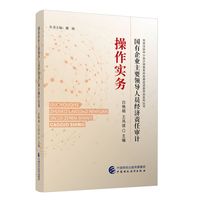 国有企业主要领导人员经济责任审计操作实务