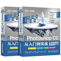 中文版Illustrator 2022从入门到精通