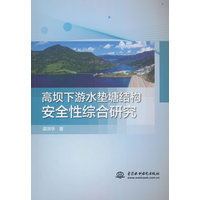 高坝下游水垫塘结构安全性综合研究