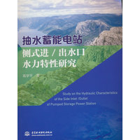 抽水蓄能电站侧式进/出水口水力特性研究