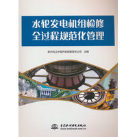 水轮发电机组检修全过程规范化管理