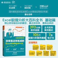 效率是这样练成的——Excel高效数据处理与分析——案例视频精华版