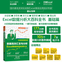 数据高效汇总与分析——Excel数据透视表应用大全——案例视频精华版