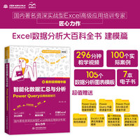 智能化数据汇总与分析——Power Query应用技能技巧: