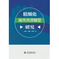 精细化城市洪涝模型研究