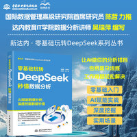 零基础玩转DeepSeek·秒懂数据分析