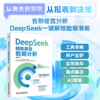 DeepSeek赋能高效数据分析