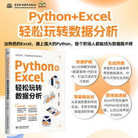 Python+Excel轻松玩转数据分析