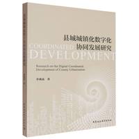 县城城镇化数字化协同发展研究
