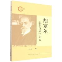 胡塞尔想象现象学研究