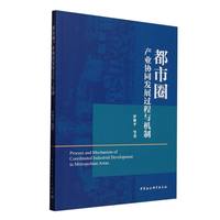 都市圈产业协同发展过程与机制