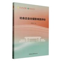社会企业分层影响及评价