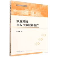 家庭策略与农民家庭再生产