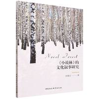 《小说林》的文化叙事研究