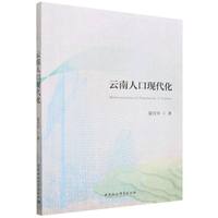 云南人口现代化