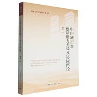 中国城市群创新能力差异及协同路径