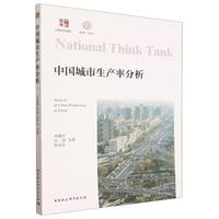 中国城市生产率分析