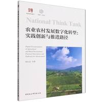 农业农村发展数字化转型：实践创新与推进路径