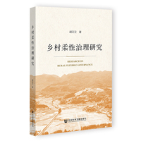 乡村柔性治理研究