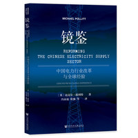 镜鉴——中国电力行业改革与全球经验——lessons from global experience
