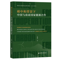 碳中和背景下中国与南亚国家能源合作