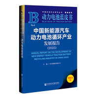 中国新能源汽车动力电池循环产业发展报告·2025