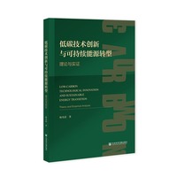 低碳技术创新与可持续能源转型——理论与实证——theory and empirical analysis