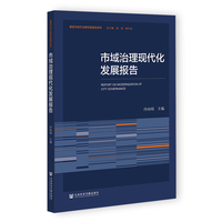 市域治理现代化发展报告
