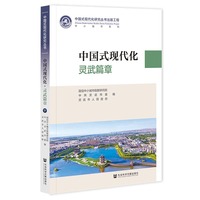 中国式现代化·灵武篇章
