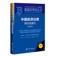 中国能源治理现代化报告·2025