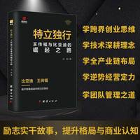 特立独行——王传福与比亚迪的崛起之路