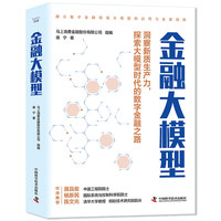 金融大模型