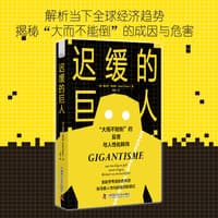 迟缓的巨人——“大而不能倒”的反思与人性化转向——van too big to fail naar trager, kleiner en menselijker