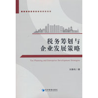 税务筹划与企业发展策略